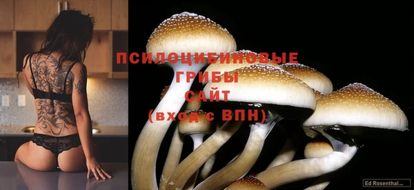 спайс Наволоки