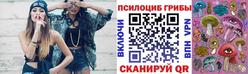 Галлюциногенные грибы Psilocybe  Купить закладки  Ишим 